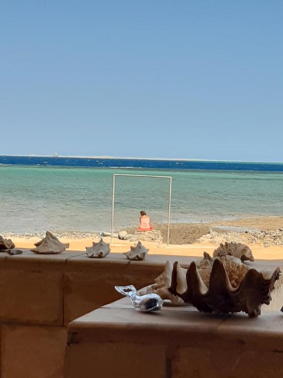 Coral Paradise Villa - B&B Safaga