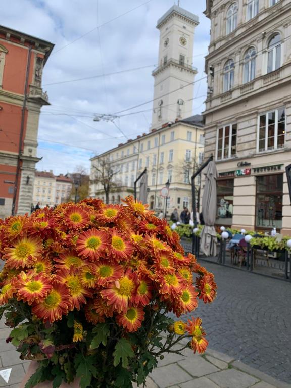 Апартаменти в центрі міста - Bed and Breakfast Lviv