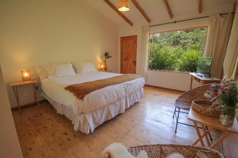 Eco Refugio El Arbol - B&B La Serena