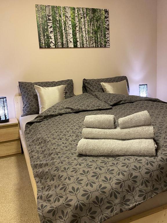 Apartamenty W Brzozowym Gaju - B&B Kudowa-Zdrój