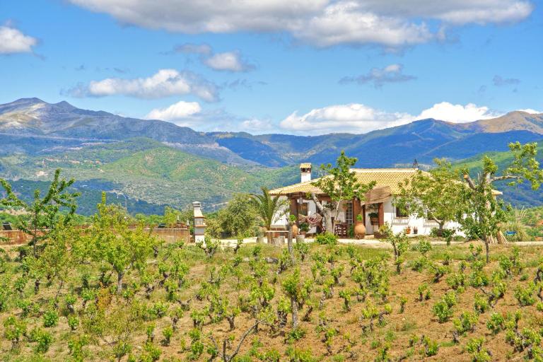 Casa Rural Juzcar - B&B Júzcar