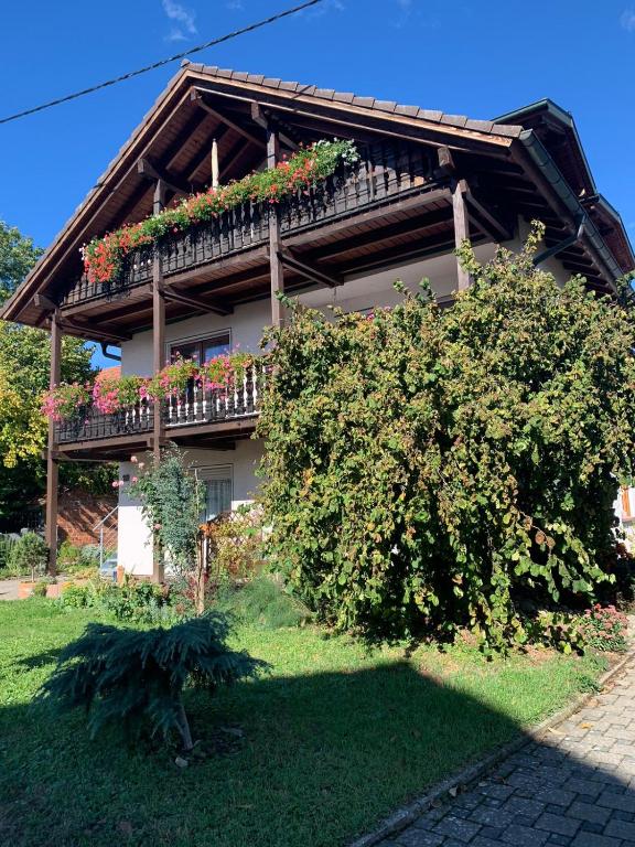 Gästehaus zum Rhein - B&B Rheinhausen