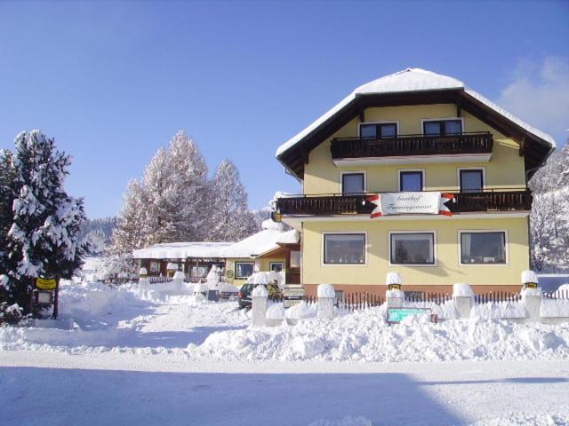 Fanningerwirt Holzer - Ferienwohnung Mariapfarr