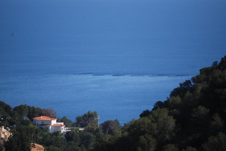 Vista Espléndida Jardines de Altea Hills - B&B Altea