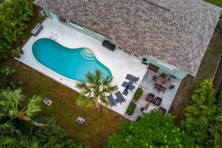 Sea Turtle - B&B Marco Island
