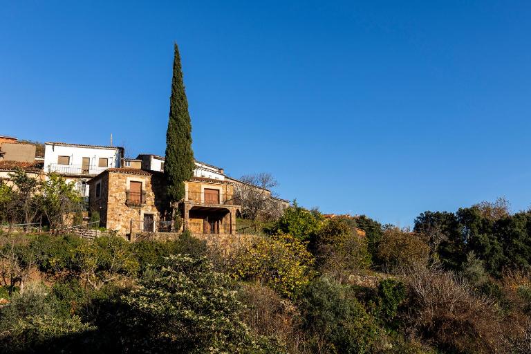 Casa Rural El Abeto - B&B Torre de Don Miguel