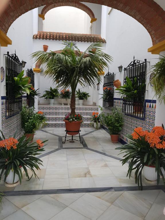 Apartamentos Los Arcos - Bed and Breakfast El Bosque