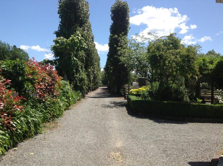 Aratahi Cottages - B&B Carterton