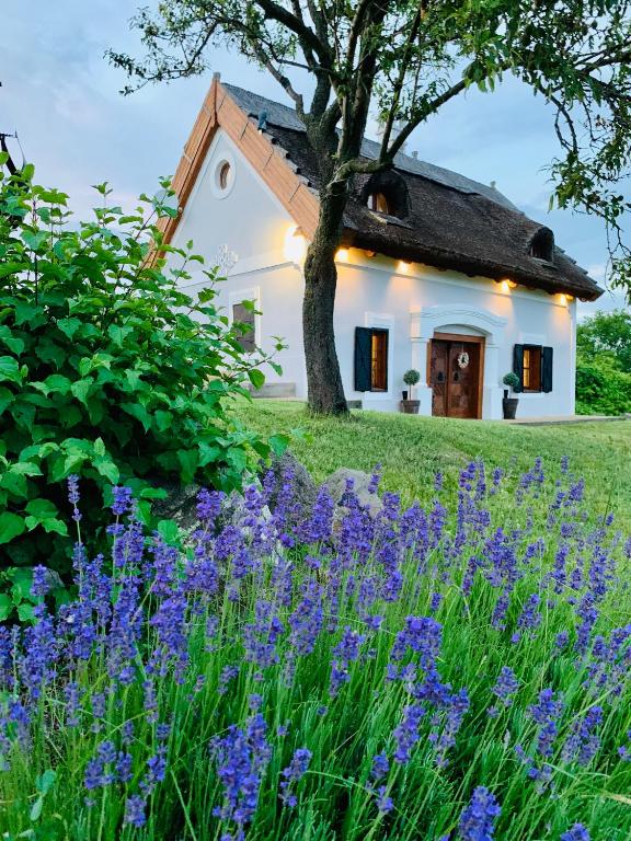 Kál Kőve Vendégház és Bortéka - B&B Köveskál