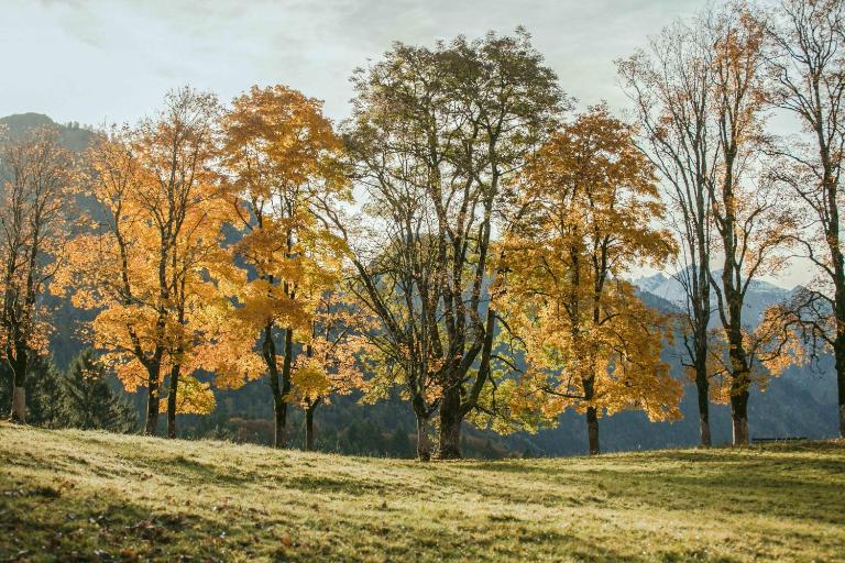 Ferienwohnungen Alpentraum - bergZeit - B&B Oberstdorf
