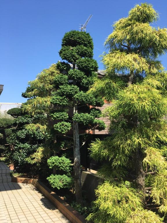 Kamagaya - House - Vacation STAY 9556 - Bed and Breakfast Kamagaya