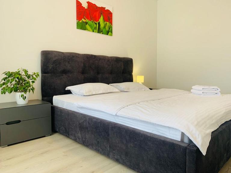 Lux appartment, Kiev, Comfort town - Chambres d'hôtes Kiev