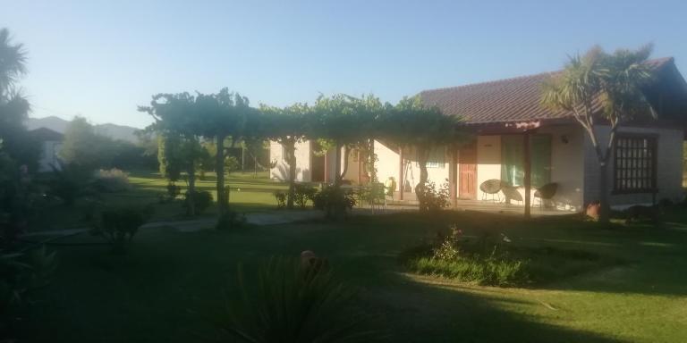 Conectar con la naturaleza te hará más feliz - B&B Melipilla