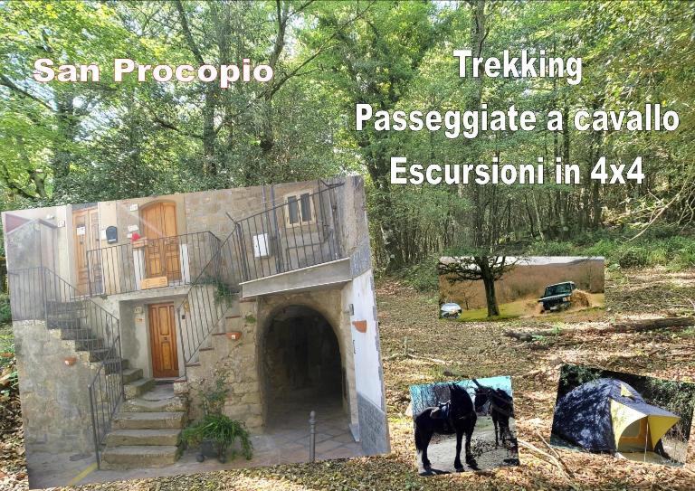 affitta camere San Procopio - B&B Troina / Draginai