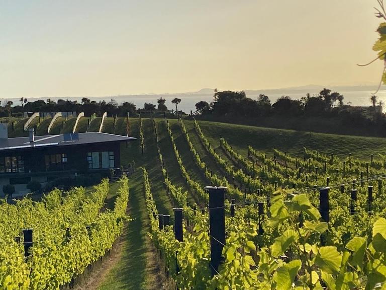 La Bodega Waiheke Island - B&B Surfdale
