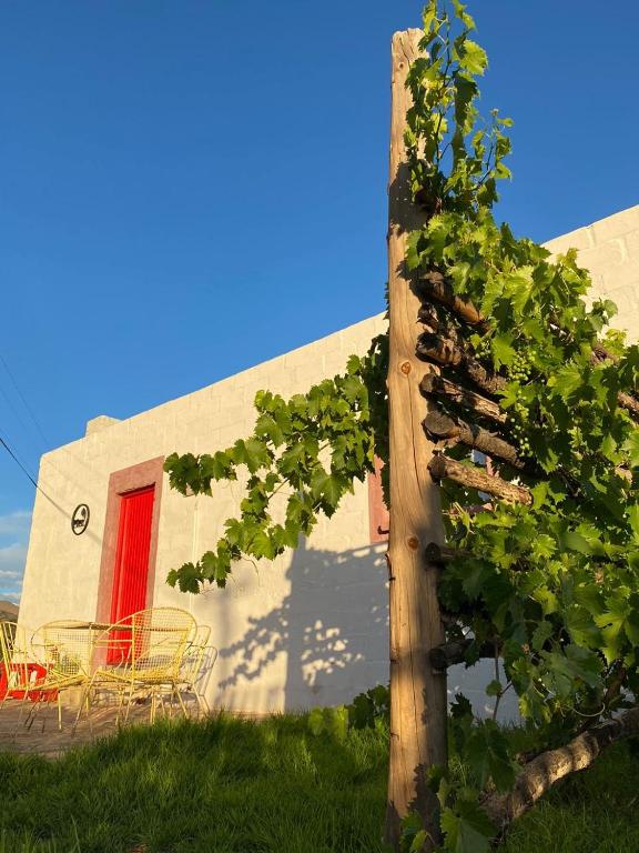 Waterval farmstay - Bed and Breakfast Graaff Reinet