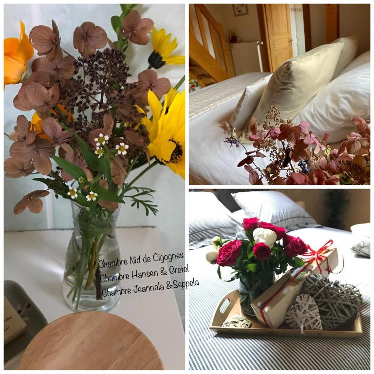Le Nid de Cigognes - Bed and Breakfast Hengwiller