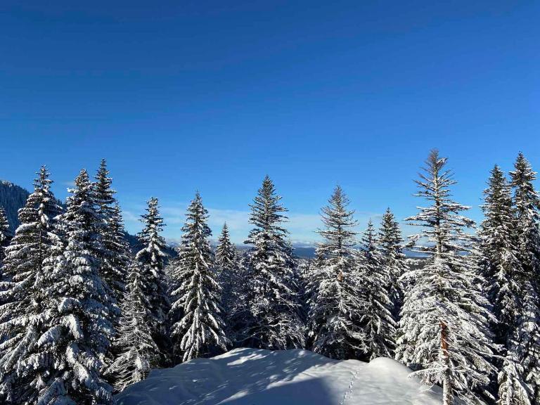 APARTMANI POLARIS JAHORINA - Bed and Breakfast Jahorina