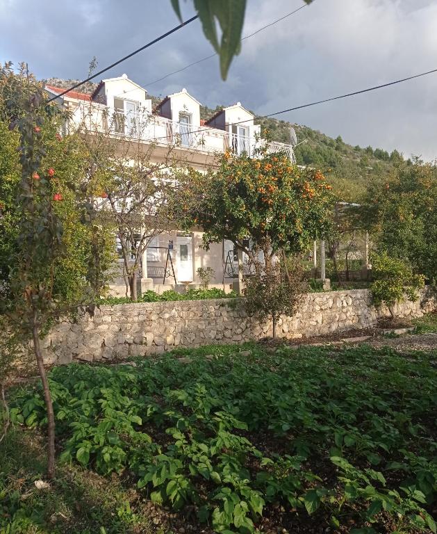 Apartment Nikola - B&B Dubrovnik