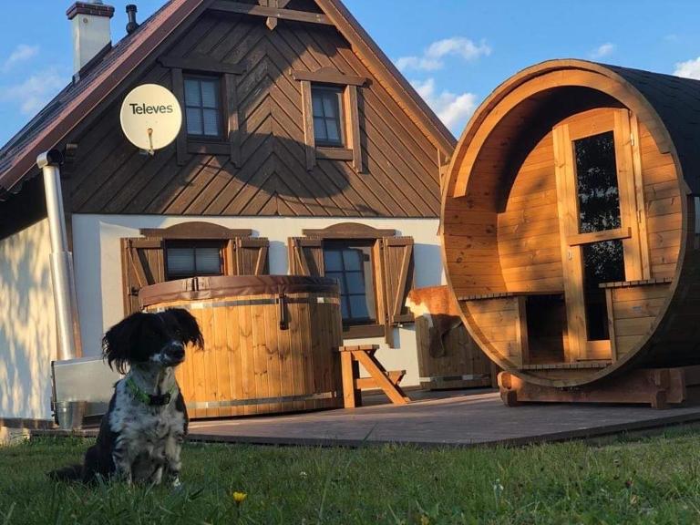 Lesne Domki VIP - Ferienwohnung Prokowo