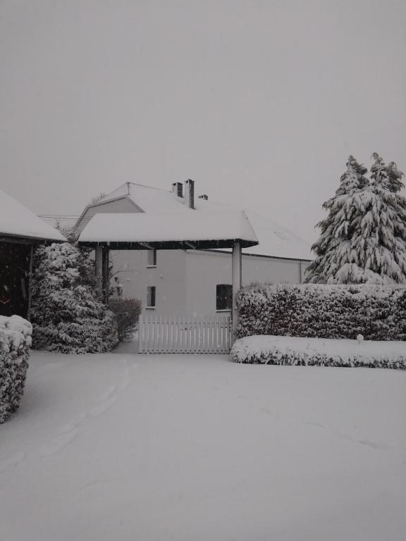 Petites-Tailles - chambre d'hôtes - B&B Vielsalm