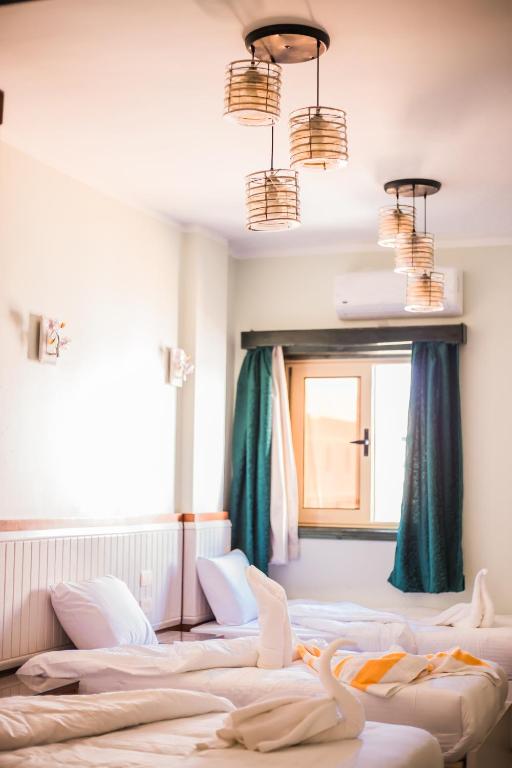 Geo Palace - B&B Dahab