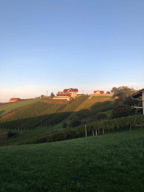 B&B OPG Culig - Bed and Breakfast Ozalj