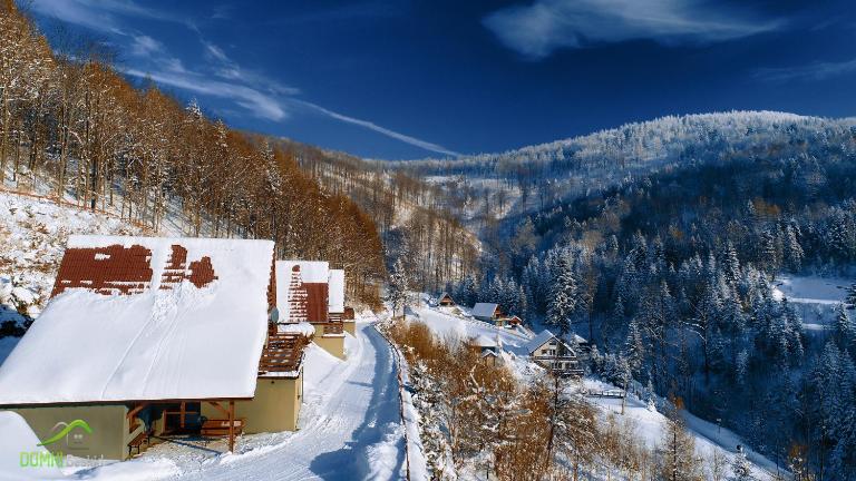Domki Beskid - Bed and Breakfast Rzyki