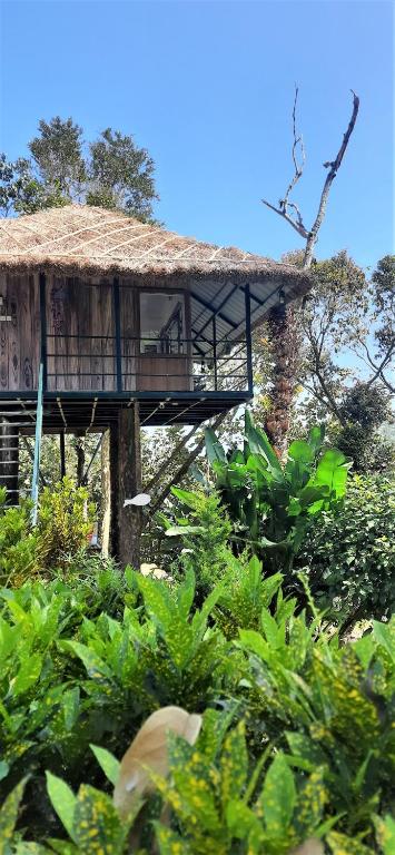 Noah's Nest Tree House - Ferienwohnung Thekkadi