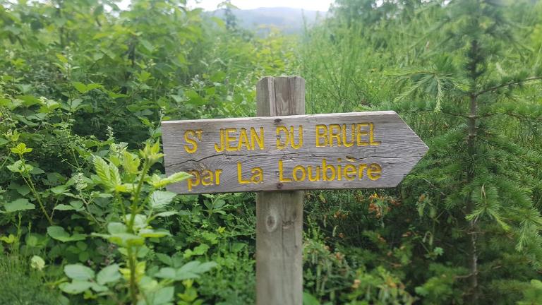 Appartements Coeur de Village - B&B Saint-Jean-du-Bruel