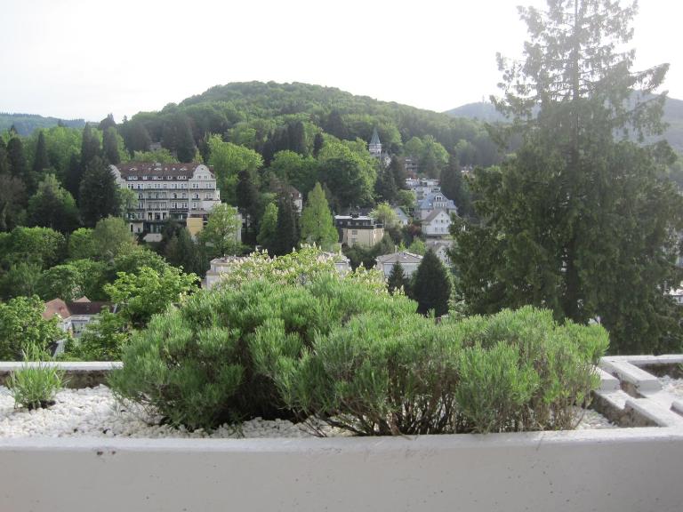 Appartement Panoramablick - Bed and Breakfast Baden-Baden