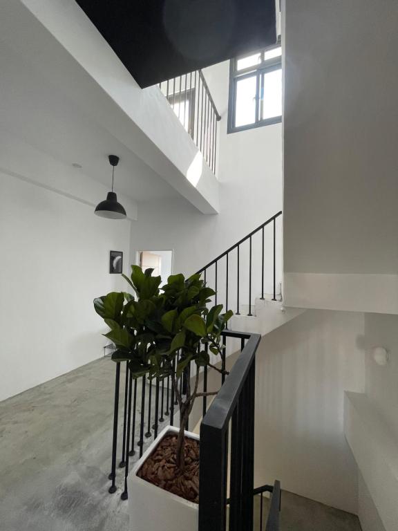 Love Vacation Pourquoi pas - Ferienwohnung Hualien City