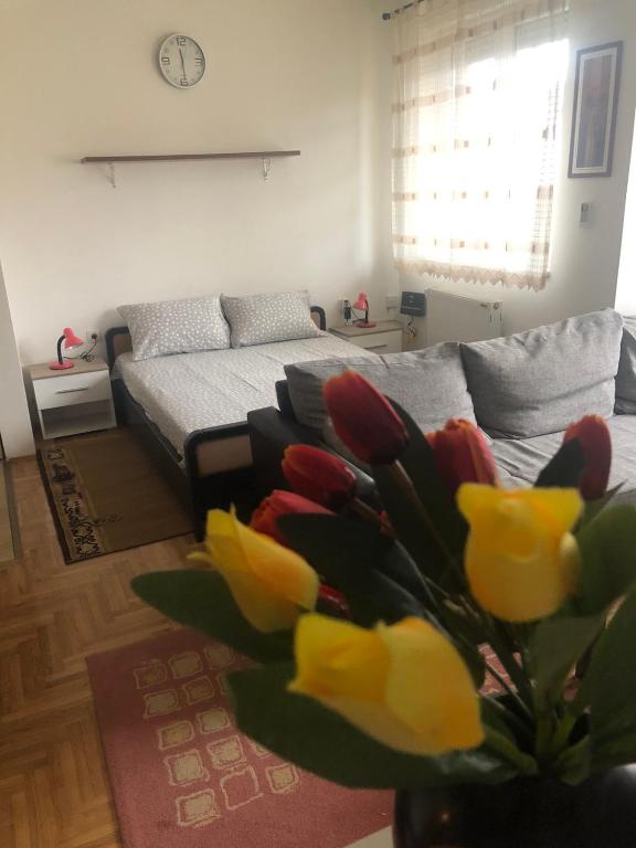 Tulipan - Chambres d'hôtes Sombor