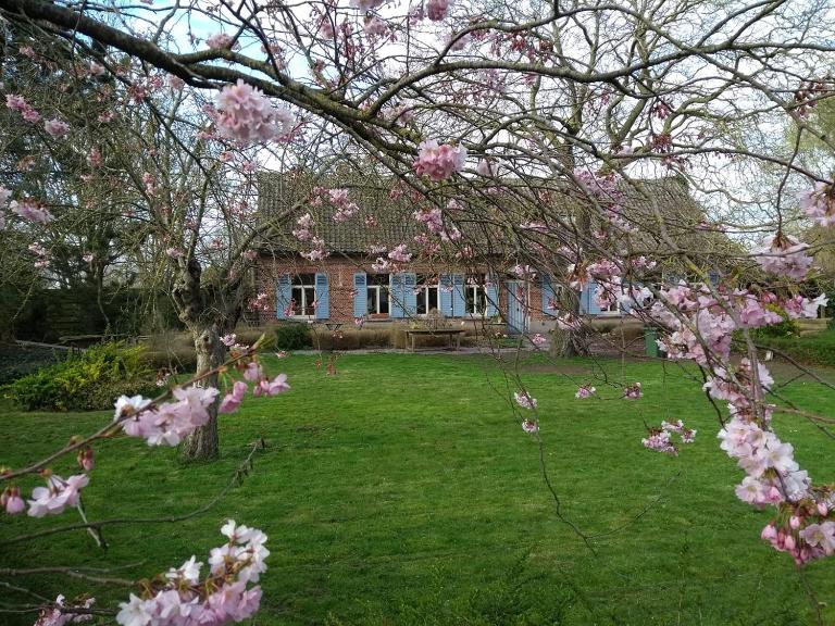 Saffels Nest 33 - B&B Lochristi