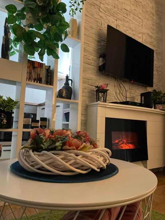 Apartman Safir - Bed and Breakfast Vrnjačka Banja