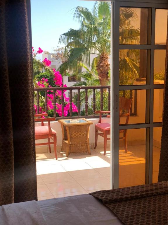 Delta Sharm - B&B Sharm el-Sheij