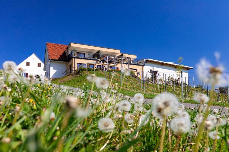 Weingut und Gästezimmer Perner - Ferienwohnung Ehrenhausen