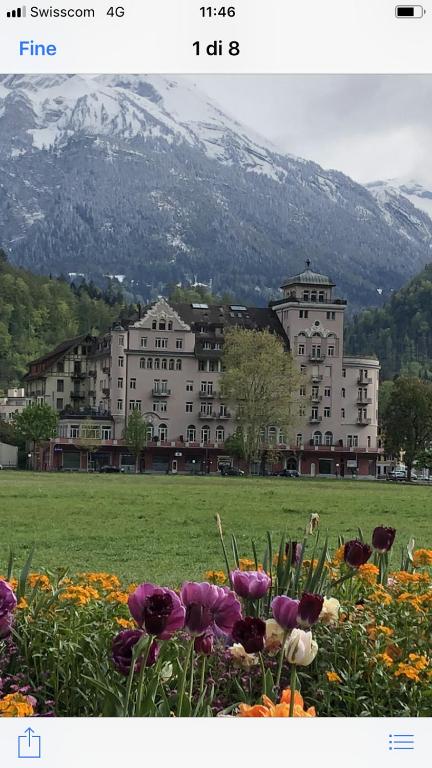 Apartment by Mario - B&B Interlaken