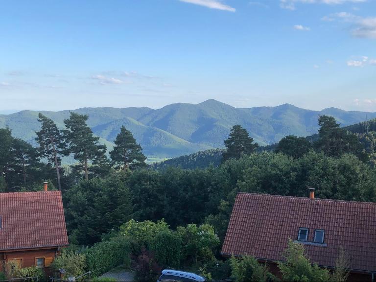 Trois-Épis, vue magnifique - Ferienwohnung Ammerschwihr