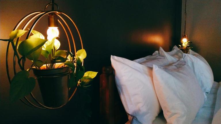 Tien B&B & Bistro - Chambres d'hôtes Vagator