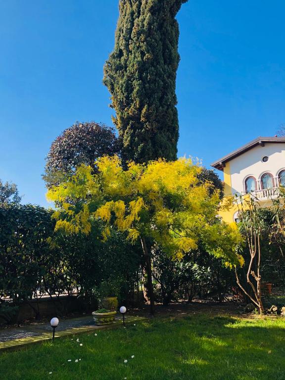 Casa Mimosa - B&B Salò