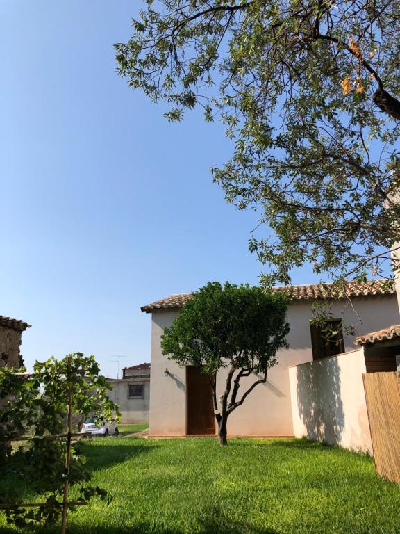 La Casa del mandarino di Borgo Carbone - B&B Locri