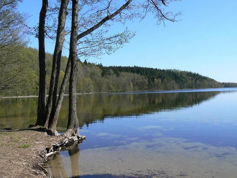 Nocleg nad Jeziorem Hańcza - B.Danowska - B&B Przełomka