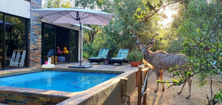 Loerie Escape - Marloth Park - Ferienwohnung Marloth Park