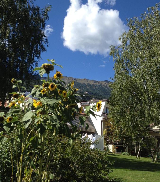 Casa Betulla - B&B Rovereto