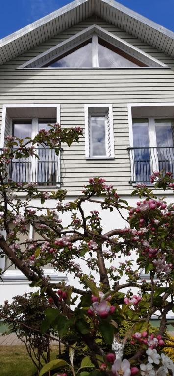 Kranto Vila - Ferienwohnung Palanga