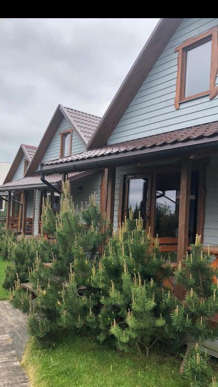 Dobilas ir jura - Bed and Breakfast Palanga