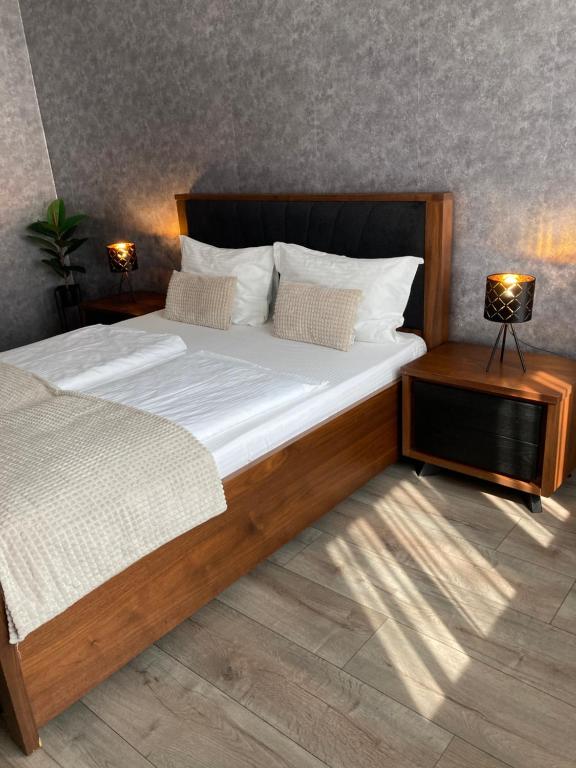 LIVI Apartment 1 - Chambres d'hôtes Satu Mare