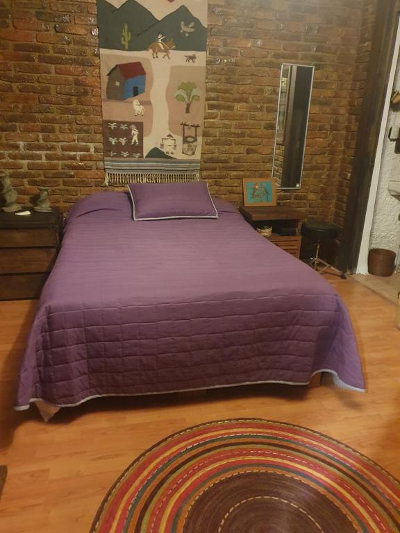 Cerca del Colmex, Flacso y U Pedagogica - Ferienwohnung Mexiko-Stadt