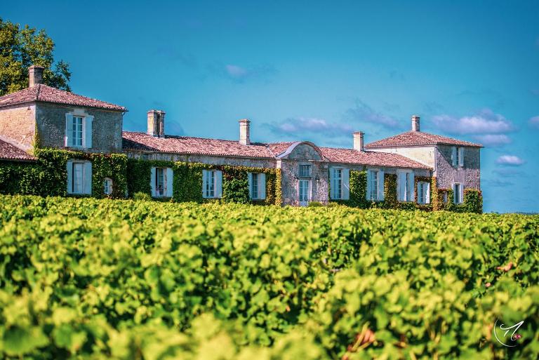 Les Chambres d'Arche, Château d'Arche, Grand Cru Classé de Sauternes - Bed and Breakfast Sauternes